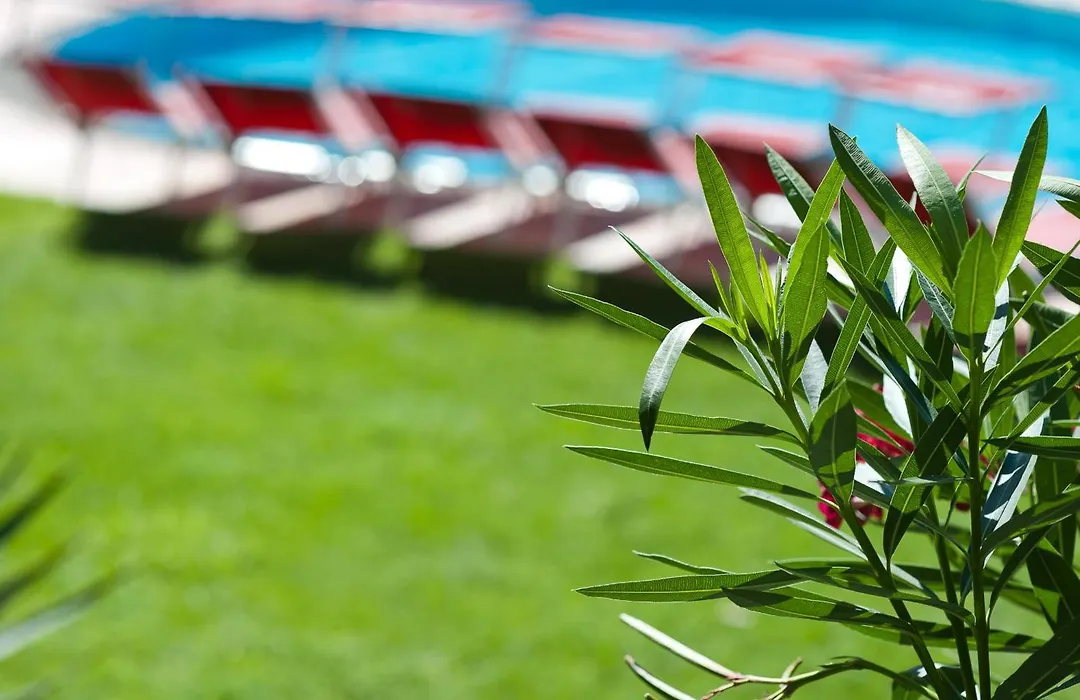 Business Resort Parkhotel Werth-1